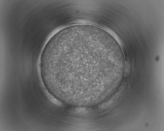 X0000116791098201001081308