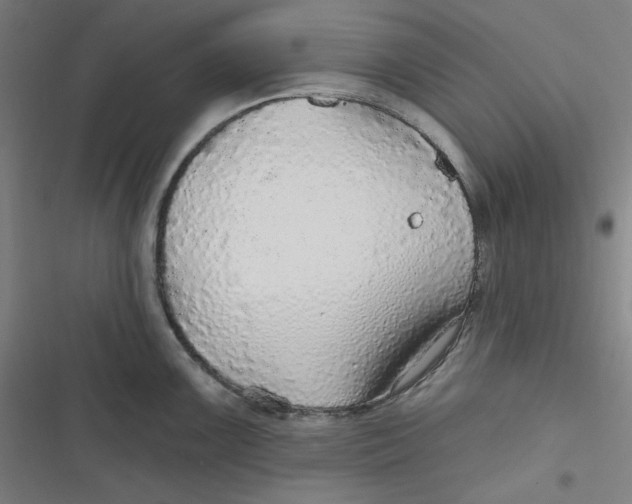 X0000116791099201001081308