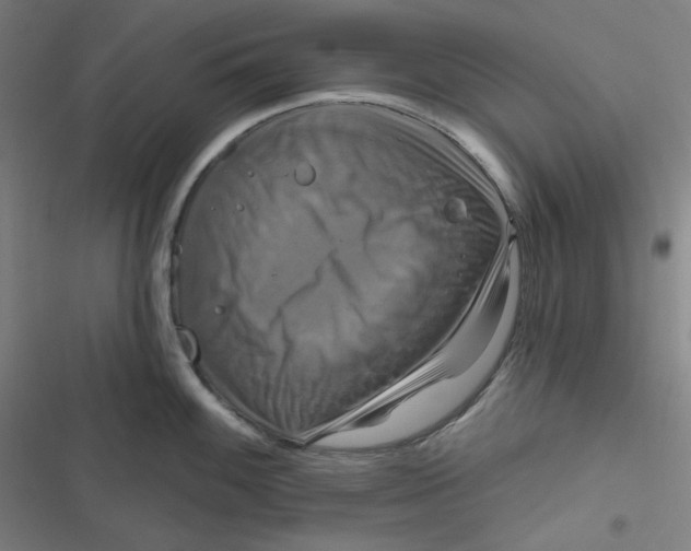 X0000116791100201001081308