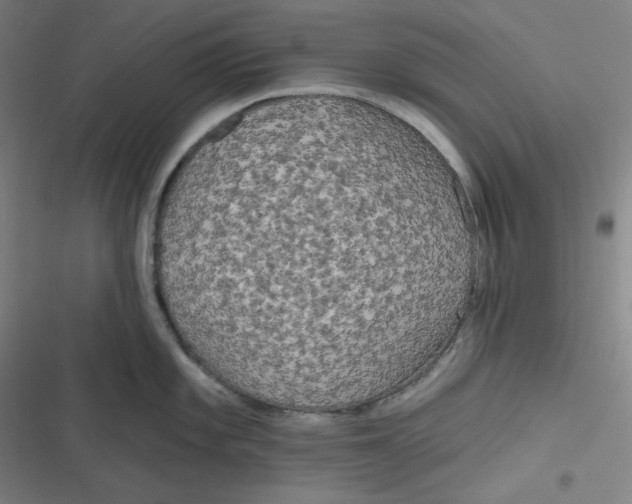 X0000116791101201001081308