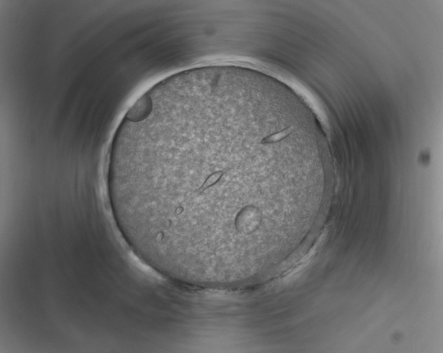 X0000116791102201001081308