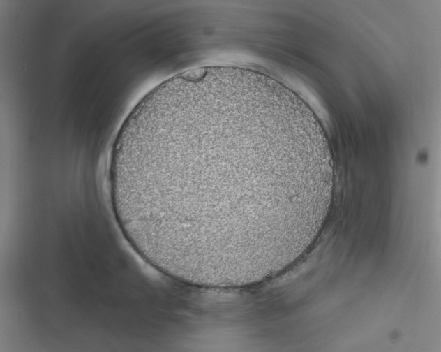 X0000116791103201001081308