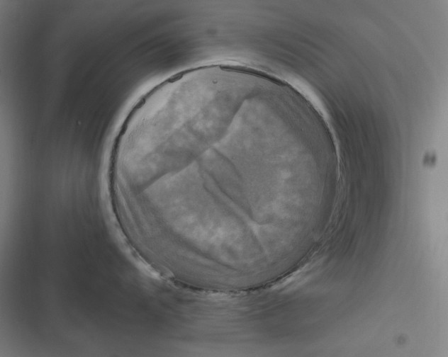 X0000116791104201001081308