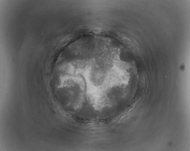 X0000116791105201001081307