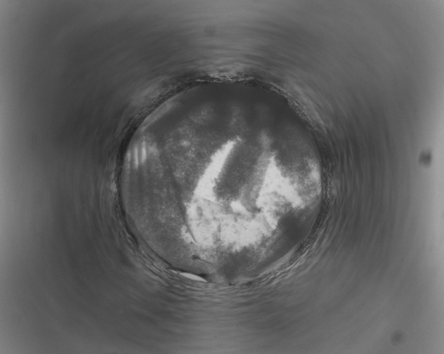 X0000116791106201001081307