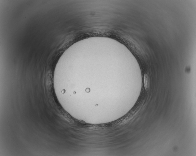 X0000116791107201001081307