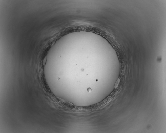 X0000116791109201001081307