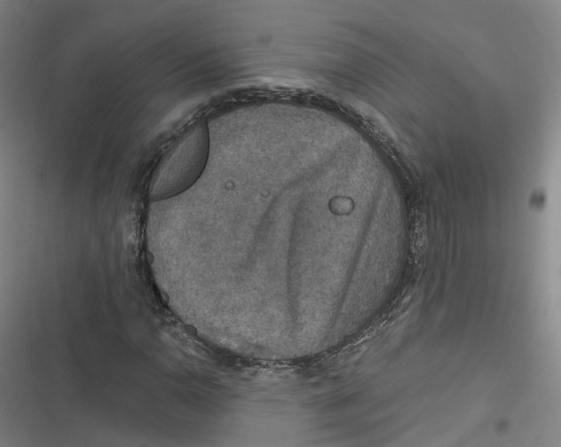 X0000116791110201001081307