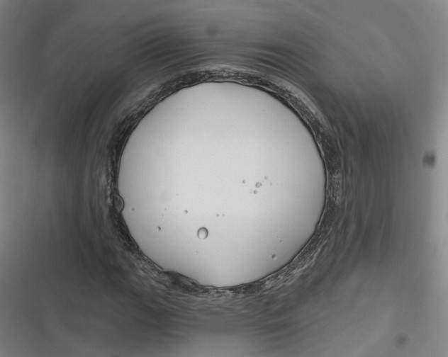 X0000116791111201001081308