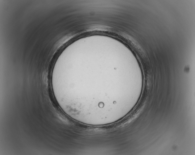 X0000116791113201001081308