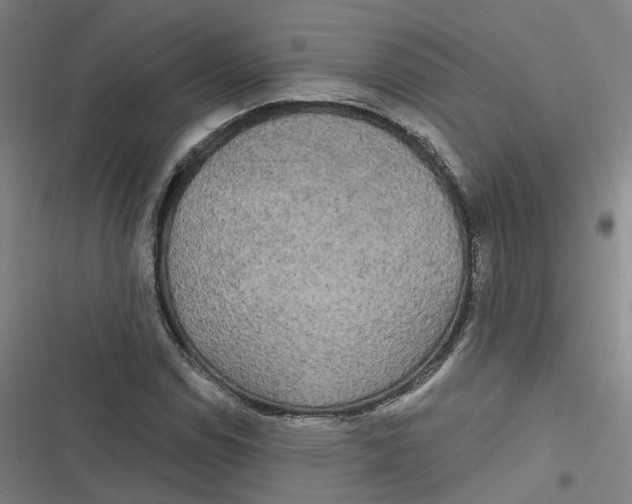 X0000116791114201001081308