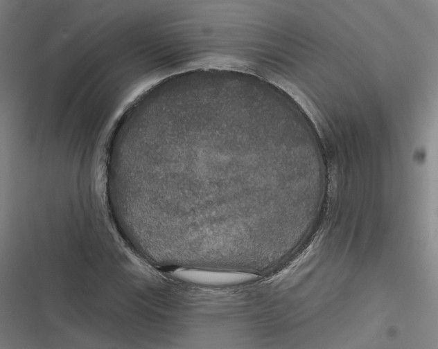 X0000116791115201001081308