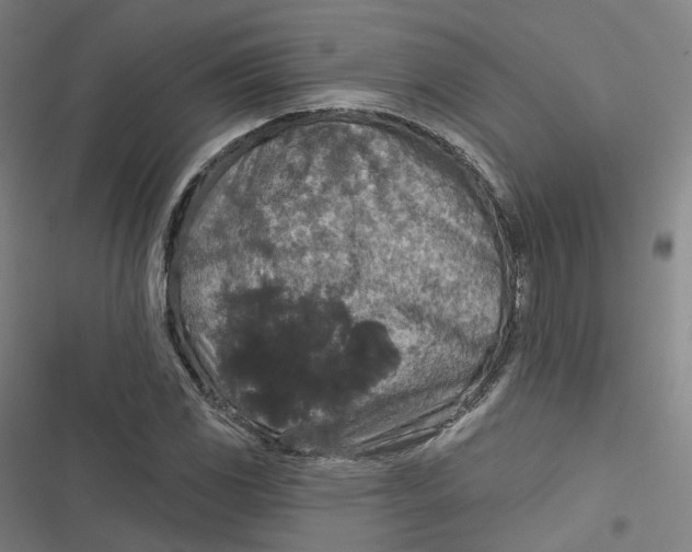 X0000116791117201001081308