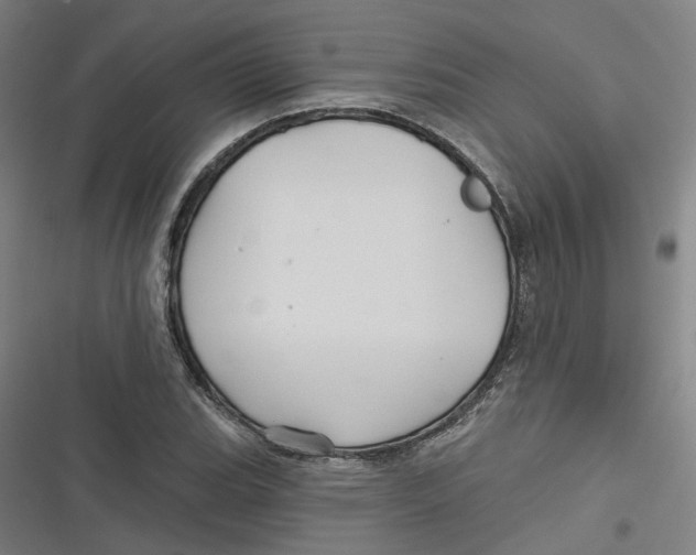 X0000116791119201001081308