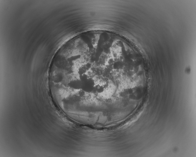 X0000116791121201001081308