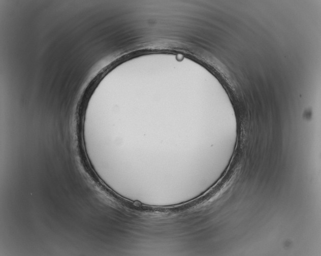 X0000116791122201001081308