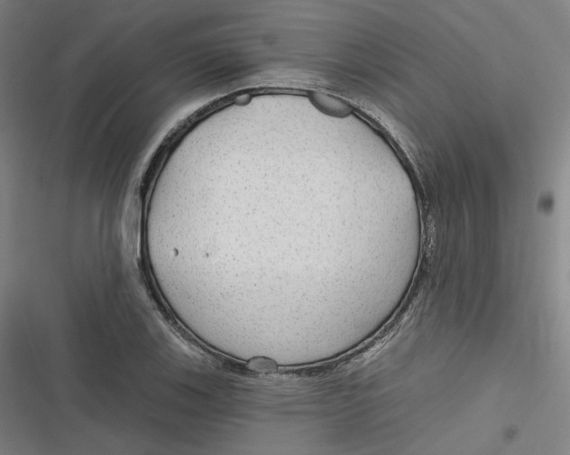 X0000116791123201001081308