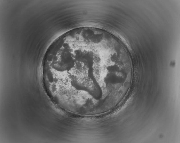 X0000116791125201001081308