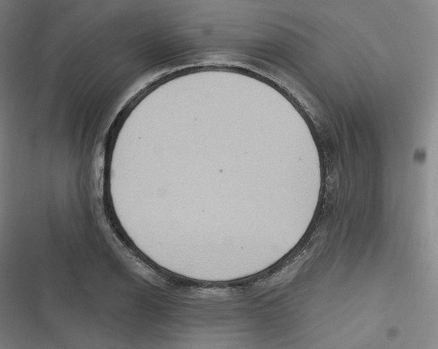 X0000116791126201001081308