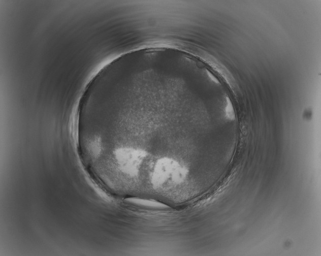 X0000116791127201001081308