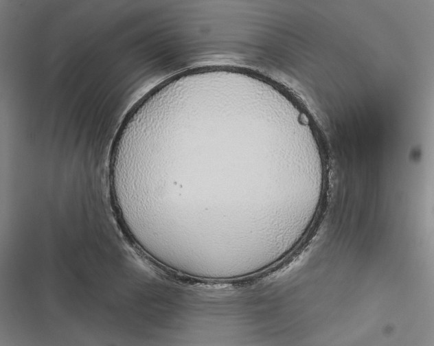 X0000116791129201001081308