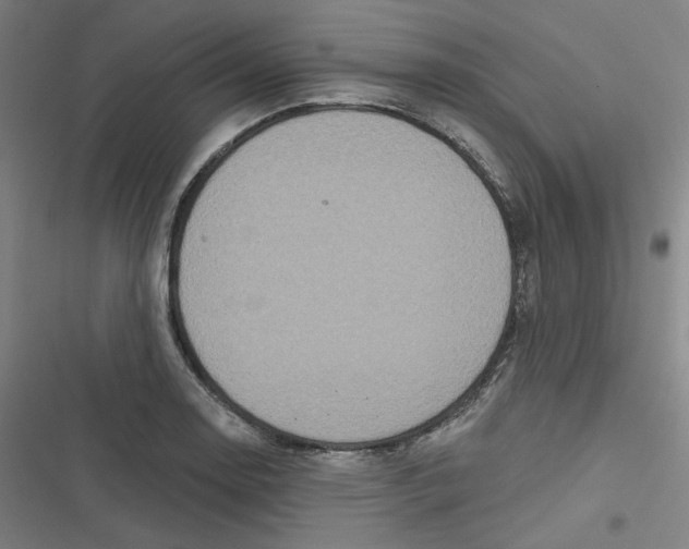 X0000116791130201001081308