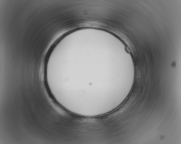 X0000116791131201001081308