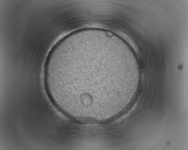 X0000116791133201001081308