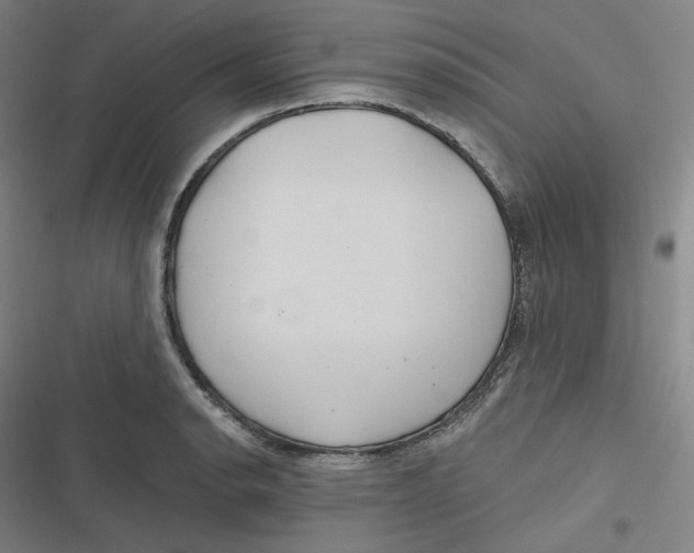 X0000116791134201001081308