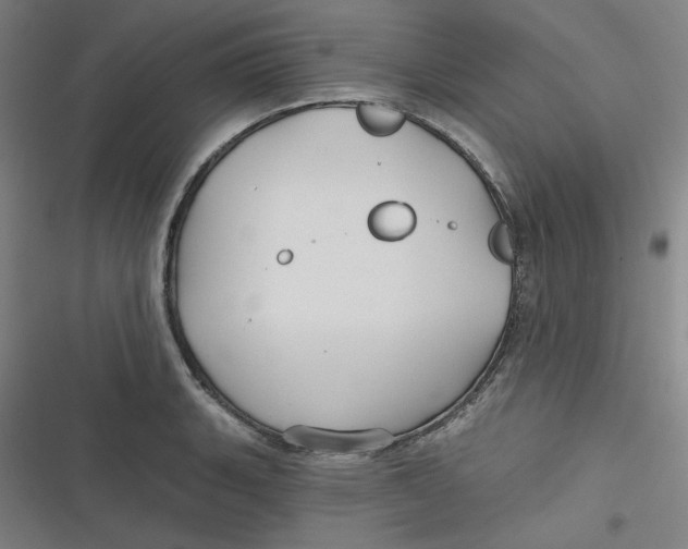 X0000116791135201001081308