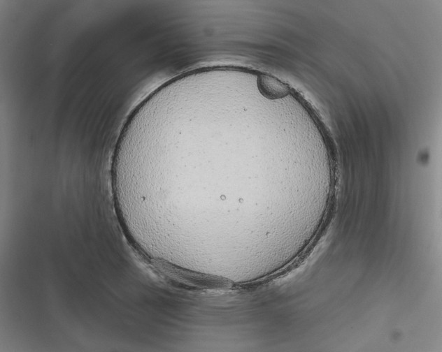 X0000116791137201001081308