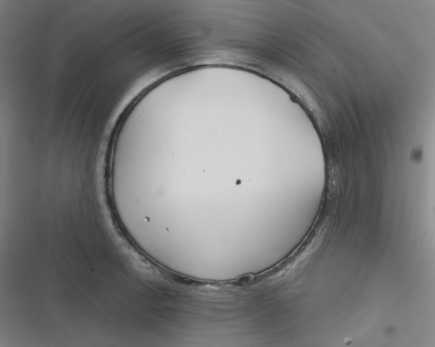 X0000116791138201001081308