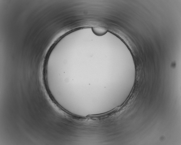 X0000116791139201001081308