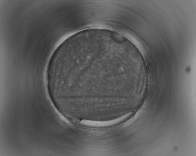 X0000116791141201001081308