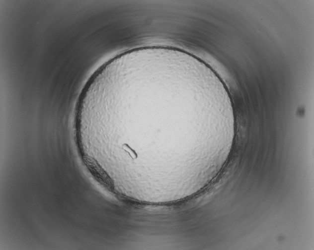 X0000116791142201001081308