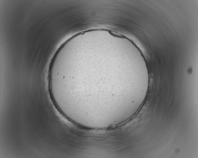 X0000116791143201001081308