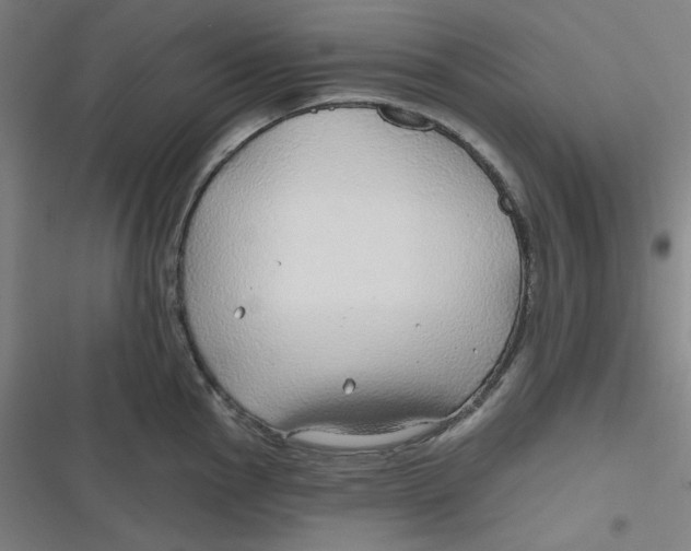 X0000116791145201001081308