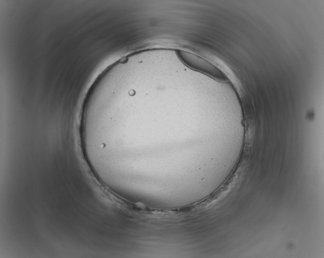 X0000116791146201001081308