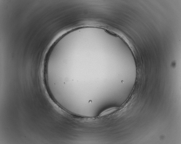 X0000116791147201001081308