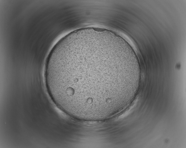 X0000116791149201001081308