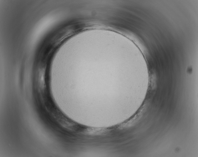 X0000116791150201001081308