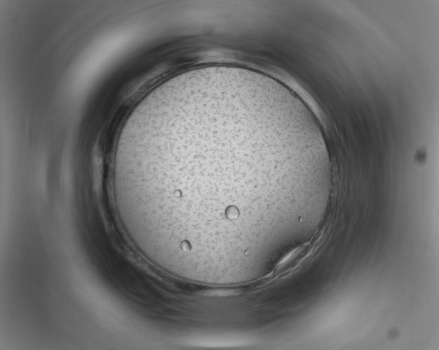 X0000116791151201001081308