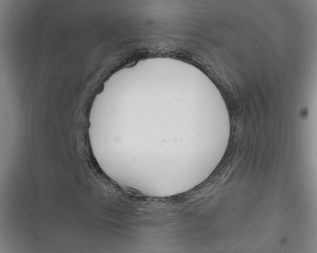 X0000116791153201001081307