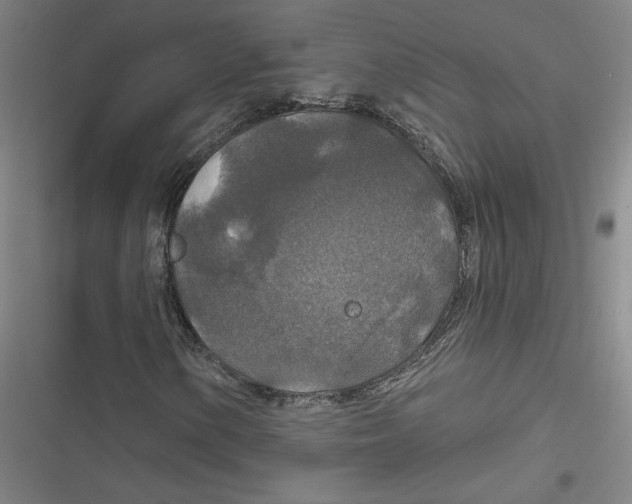 X0000116791154201001081307