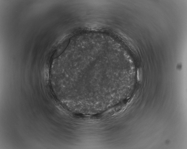 X0000116791155201001081307