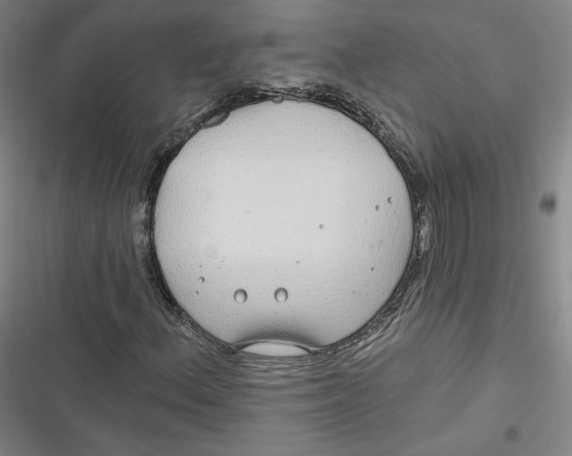 X0000116791156201001081307