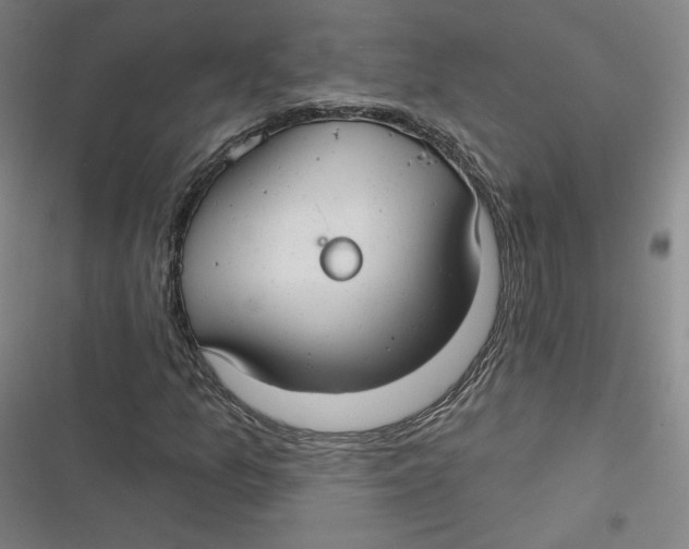 X0000116791157201001081307