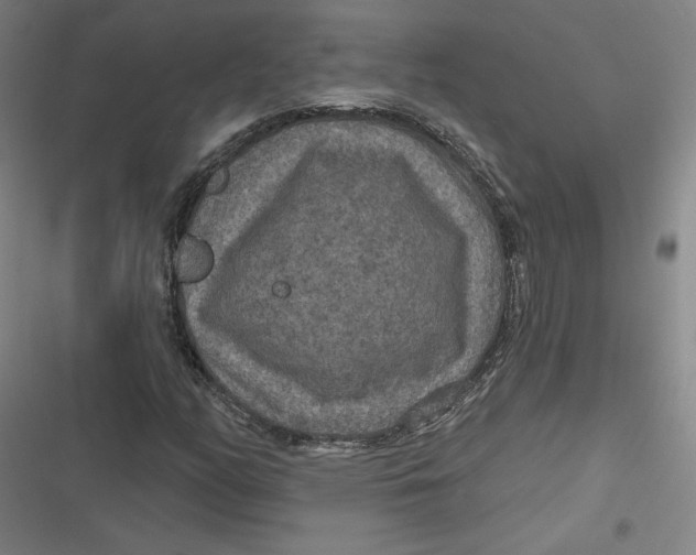 X0000116791158201001081307