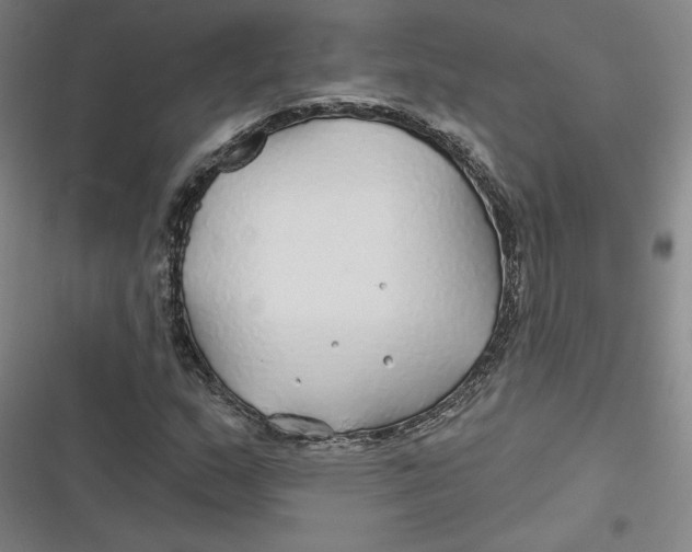 X0000116791159201001081307