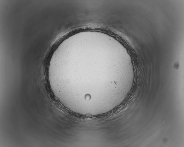 X0000116791160201001081307